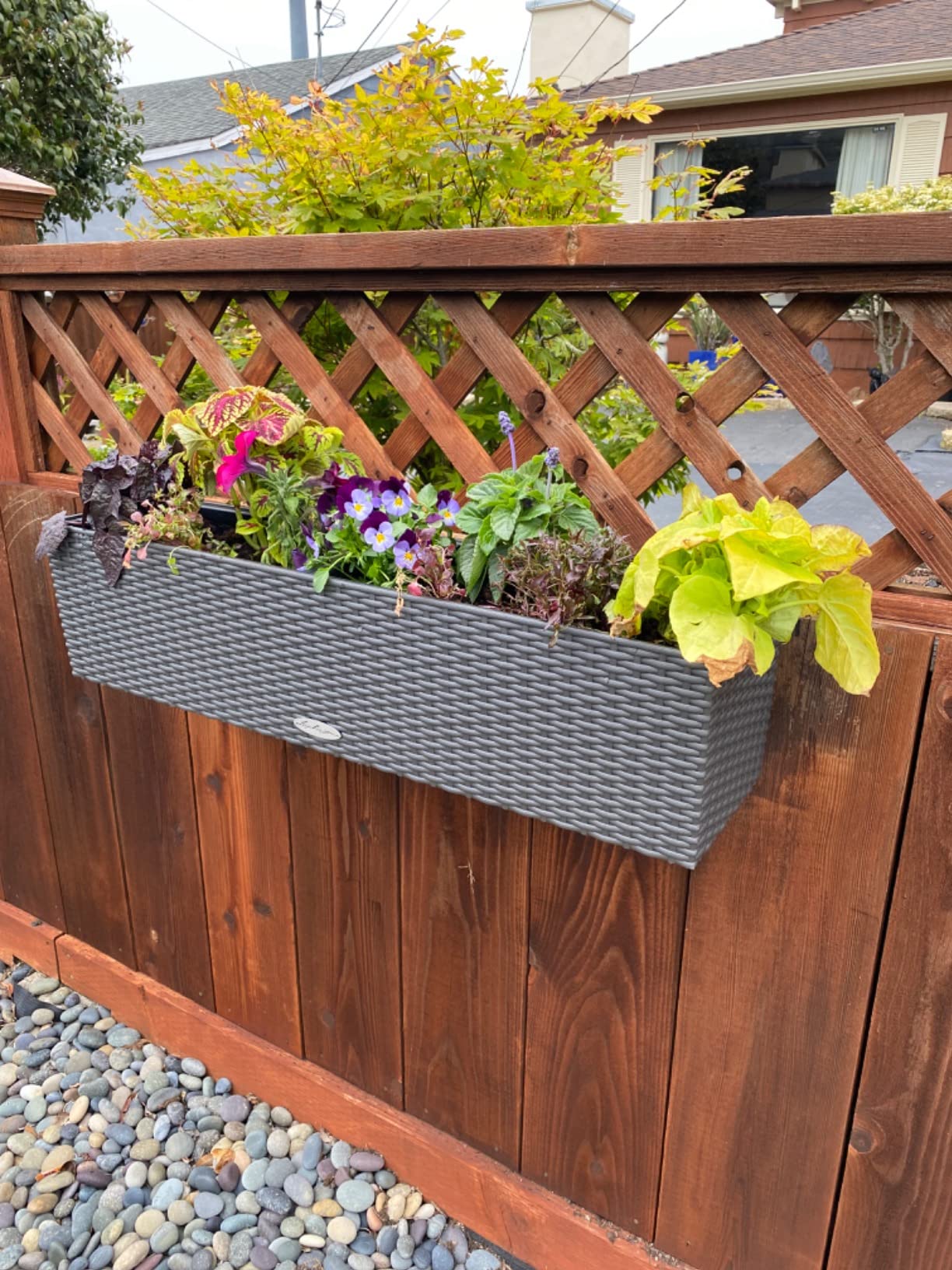 Lechuza Balconera Cottage 80 - All-In-One, Granite, 32