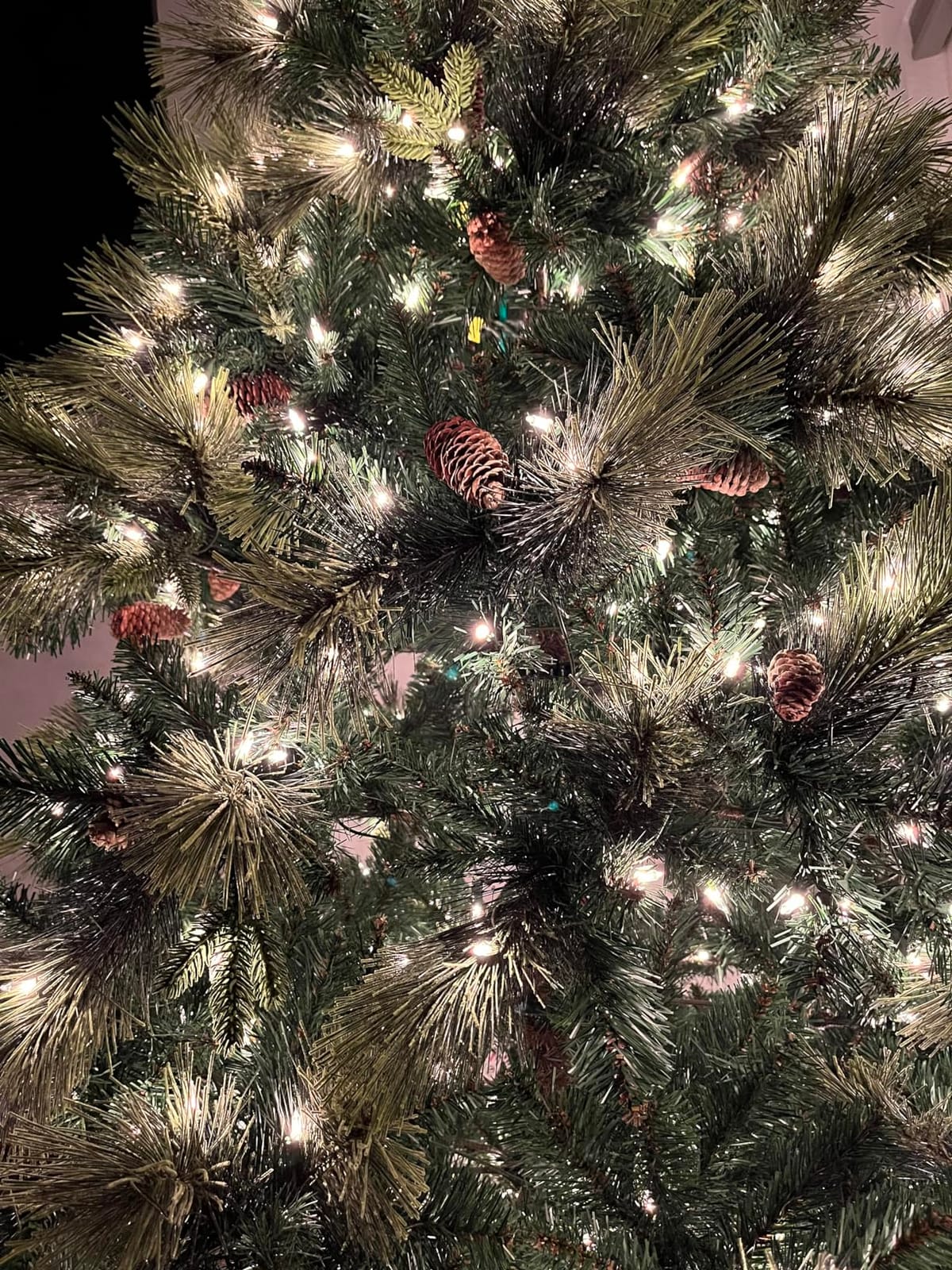 National Tree Company 7.5ft Pre-Lit Carolina Pine Artificial Christmas Tree customer photo 2