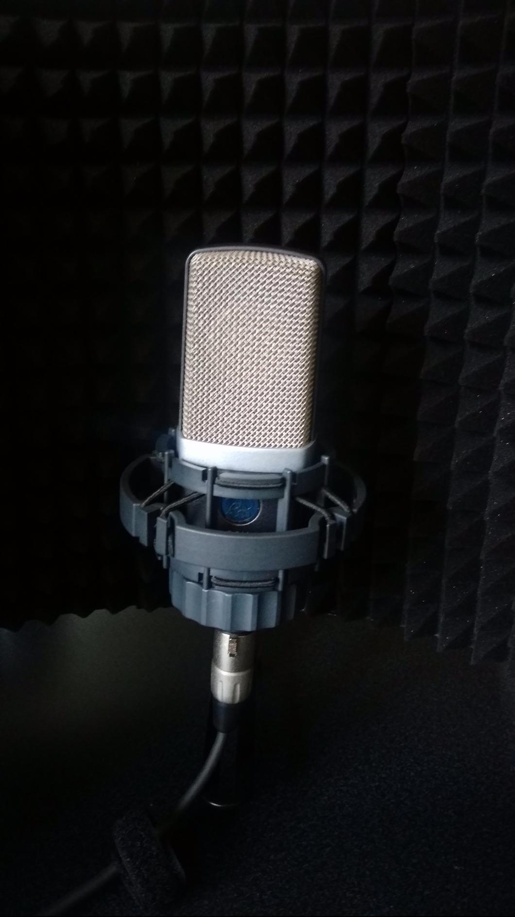 AKG Pro Audio C214 Studio Grade Professional Large Diaphragm, Single Capsule, Vocal and Instrument Condenser Microphone with Rugged Aluminum Carrying Case. XLR Connector. Gray with Gold customer photo 2