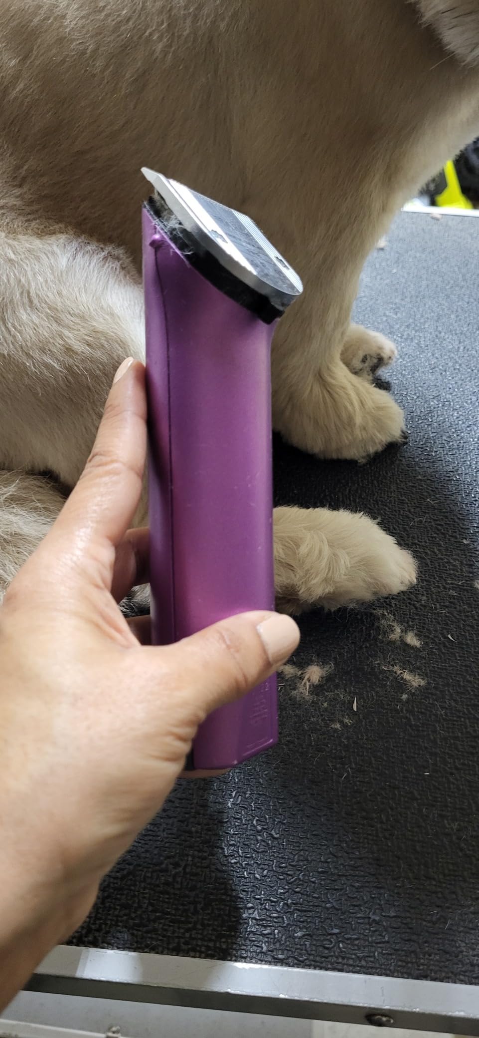 Wahl Professional Animal Arco Cordless Clipper Kit, 8786-452, Champagne customer photo 2