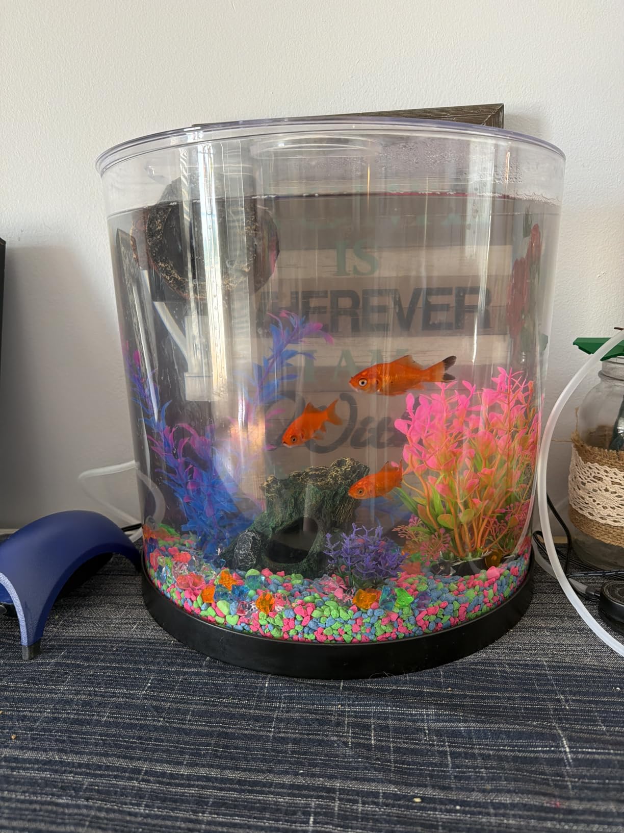 Tetra ColorFusion Starter 3 Gallon Fish Tank Kit for Small Freshwater Fish customer photo 2