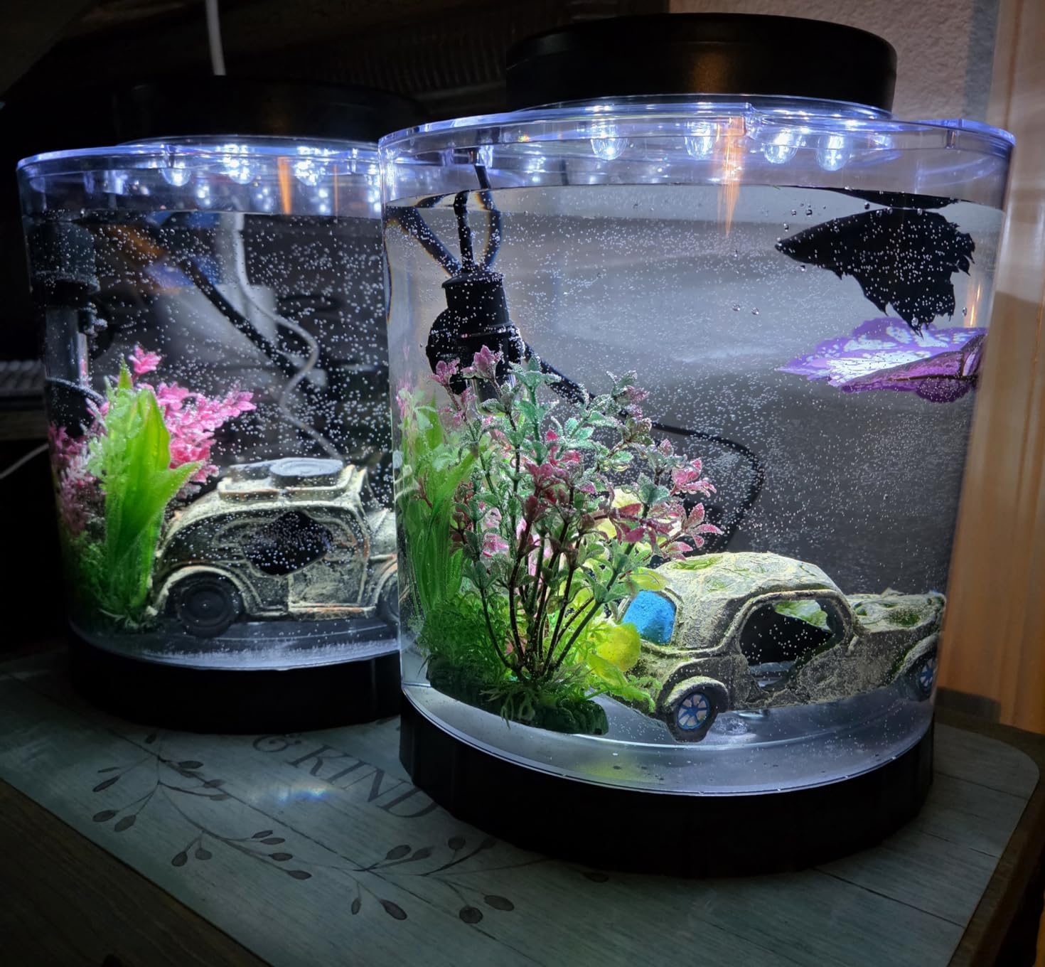 Tetra LED Half Moon 1.1 Gallon Fish Tank Kit for Betta Fish customer photo 2