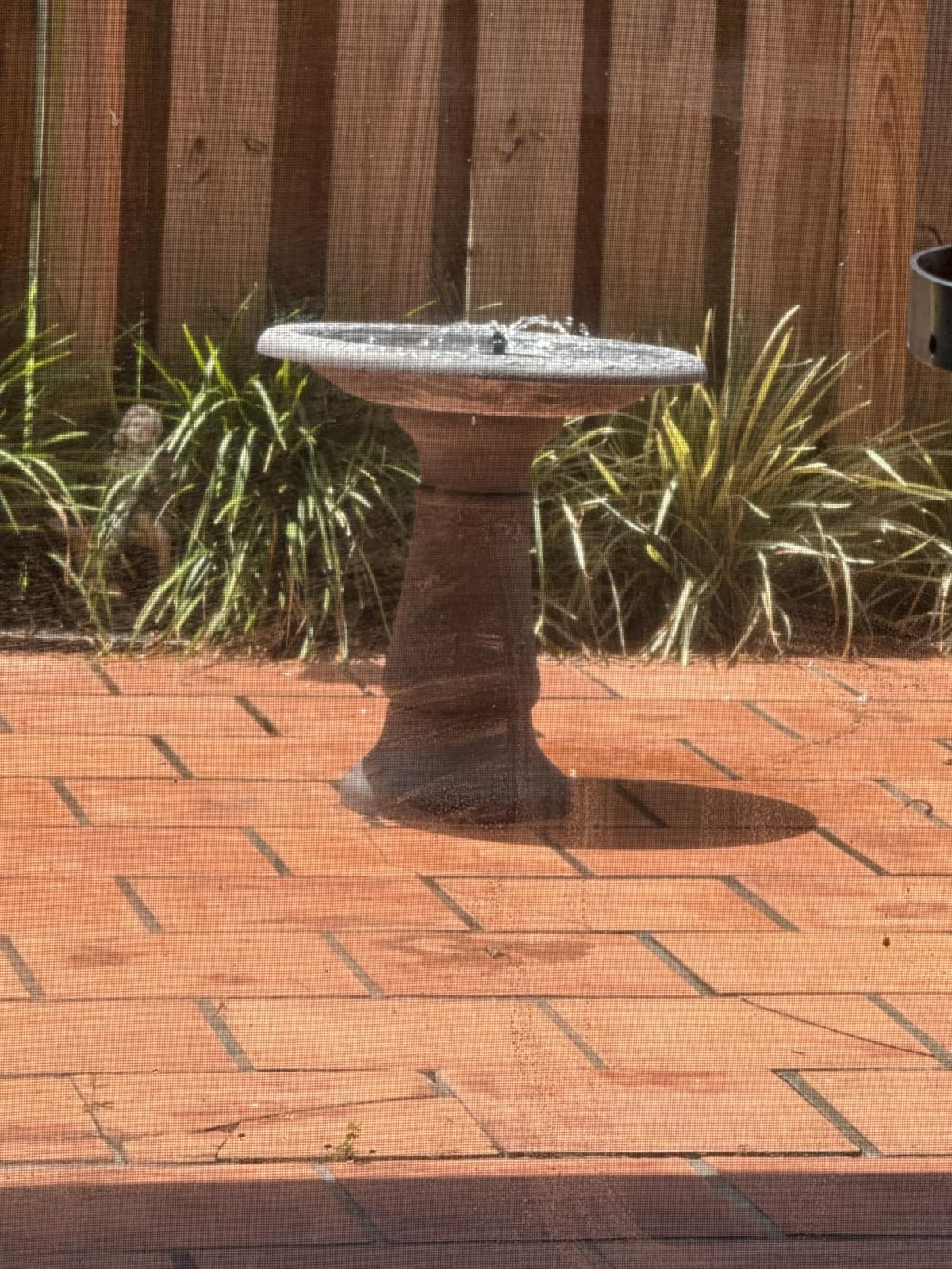 Arcadia Garden Products BB04 Fiberclay Bird Bath Outdoor Garden Decor, Antique Vintage Weather Resistant Water Bowl for Backyard and Patio and, 20-inch Tall, Green customer photo 1