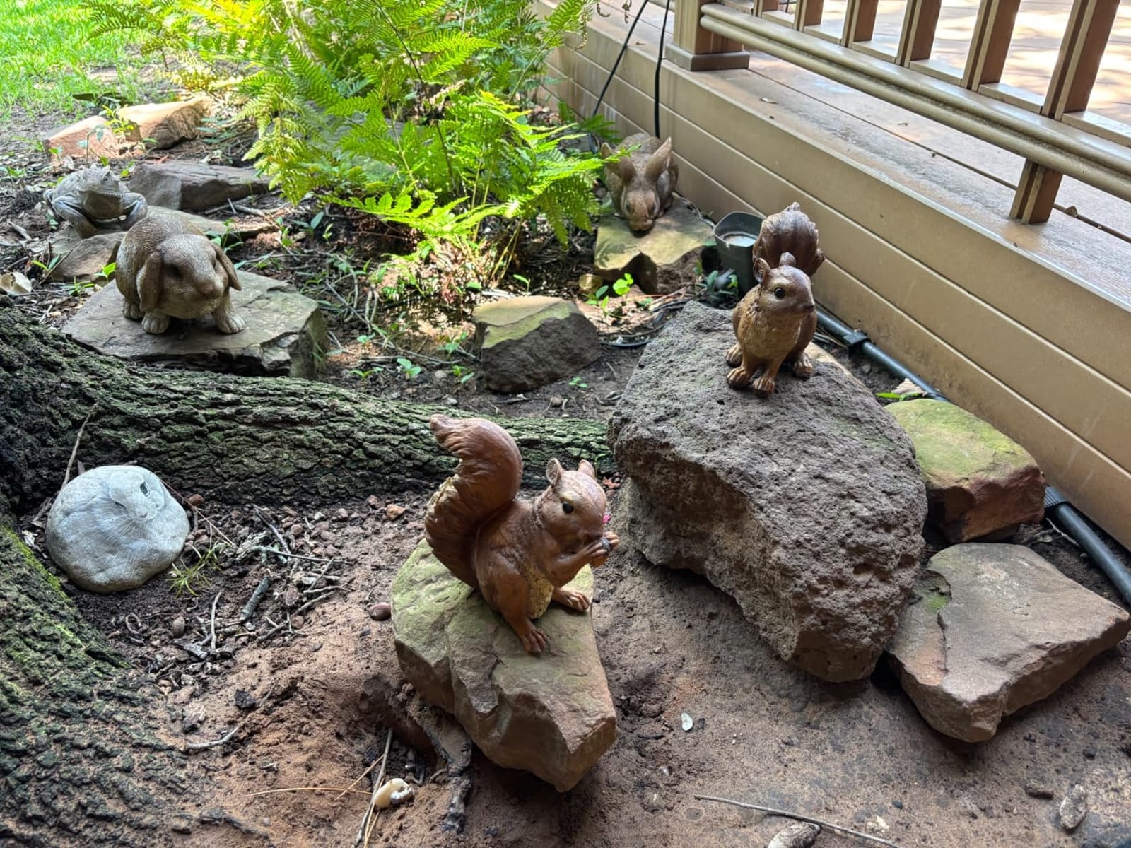 Design Toscano Scamper the Woodland Squirrel Outdoor Garden Statue, 7 Inch customer photo 2