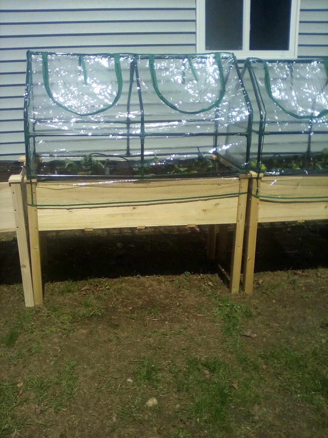 Garden Raised Bed and Cold Frame Greenhouse Cloche customer photo 2