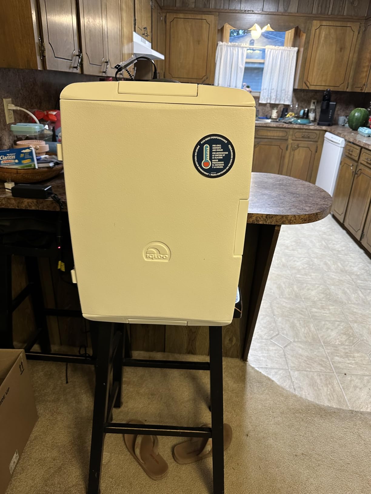 Igloo Iceless Thermoelectric Cooler | Portable Electric Plug-in Coolers customer photo 1