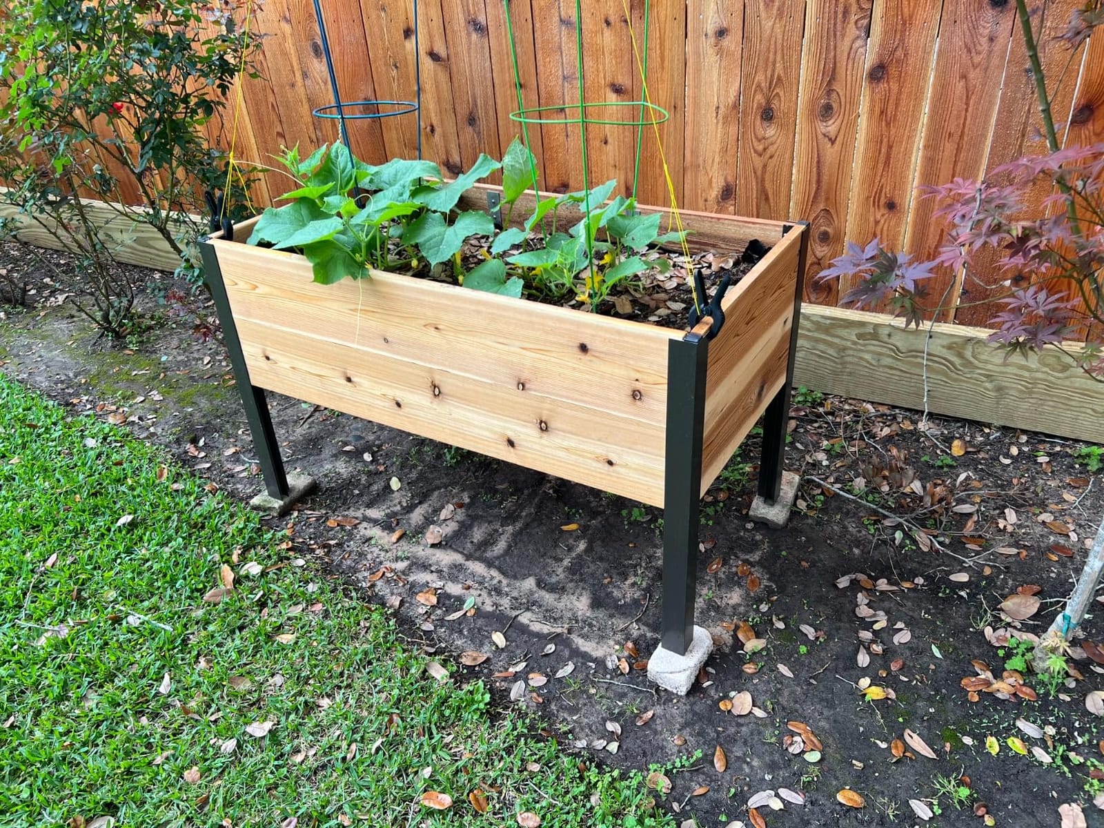 Gardener's Supply Company Elevated Cedar Raised Garden Bed 2' x 8' customer photo 1