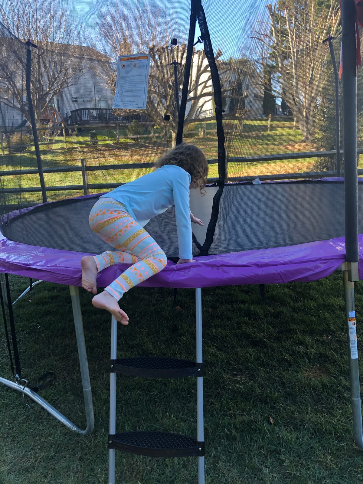 Skywalker Trampolines Wide-Step Ladder customer photo 1