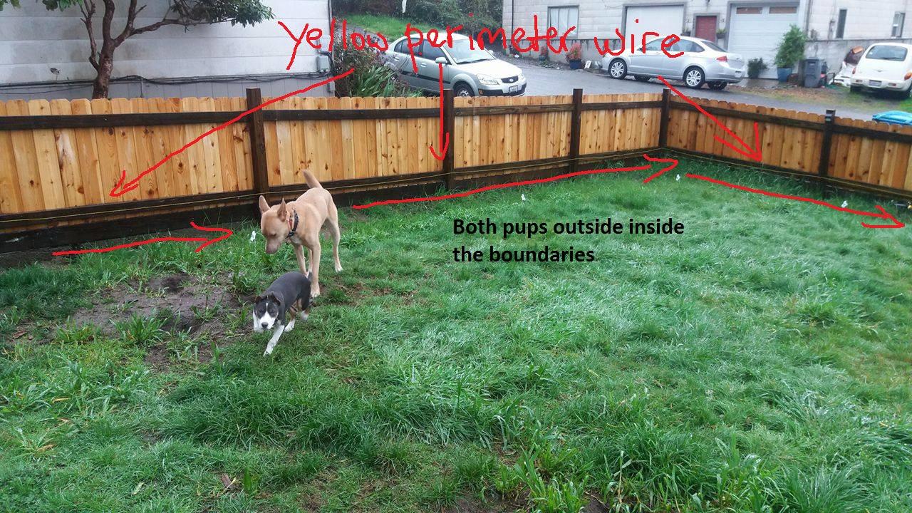 PetSafe Basic In-Ground Fence, Up to 1/3 Acre customer photo 1