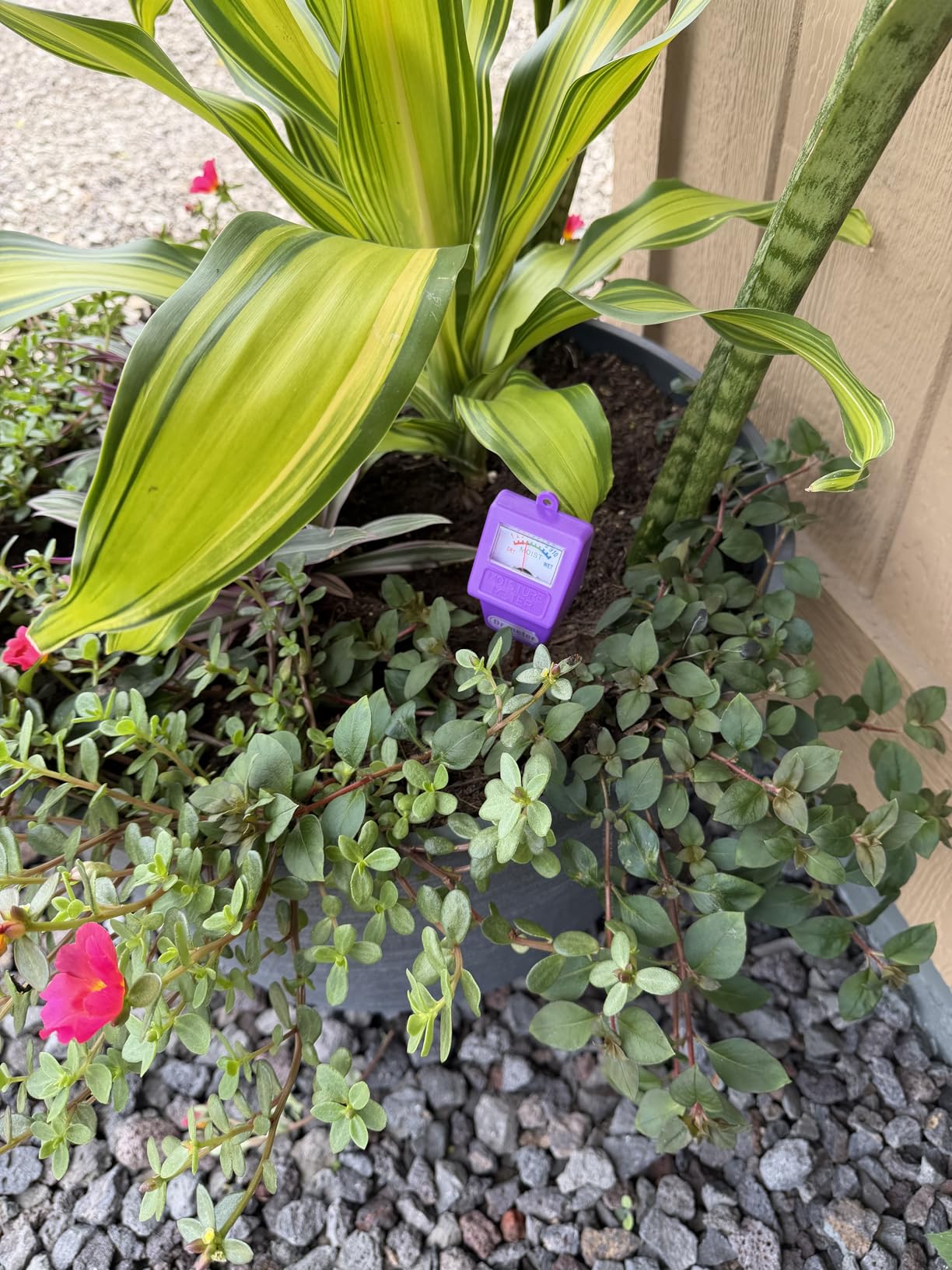 Dr.meter Soil Moisture Meter for Plants, Plant Water Gauge Test Kit customer photo 1