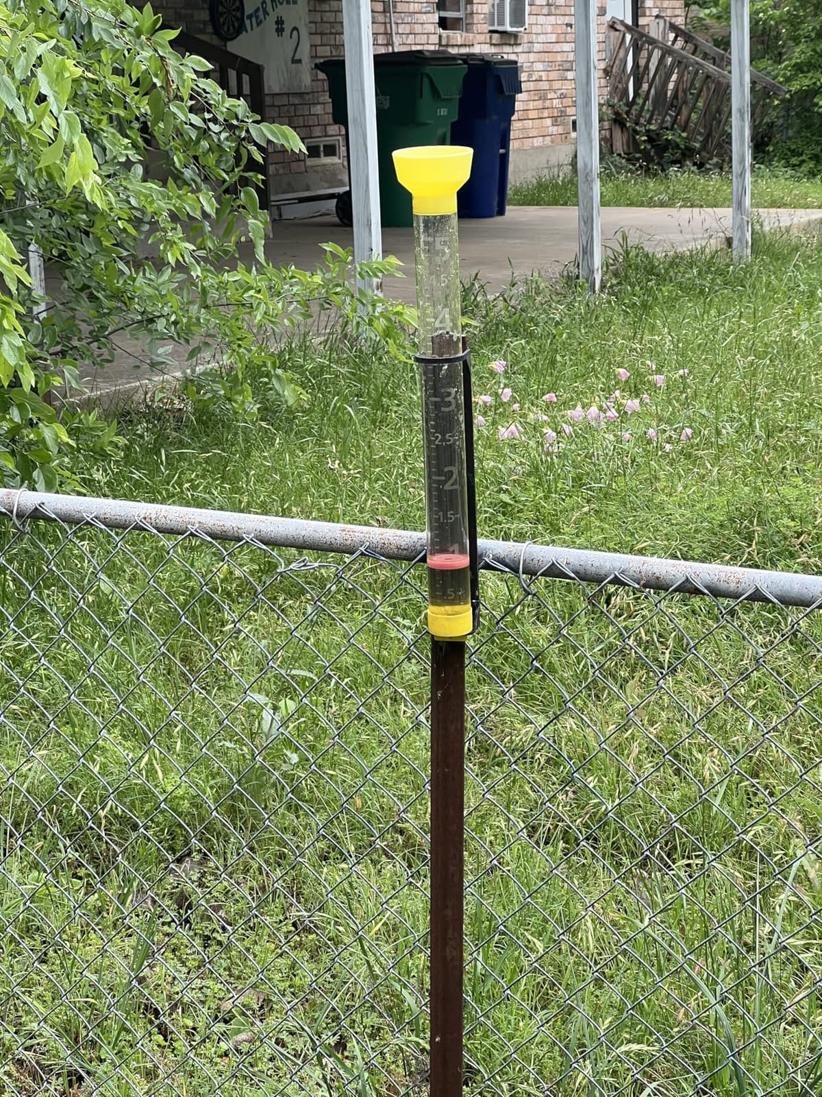 Taylor Jumbo JR Rain Gauge, Measure and Monitor Precipitation, Easy to Read for Backyard, Patio, Garden, and Lawn, 5-inch, Yellow customer photo 1