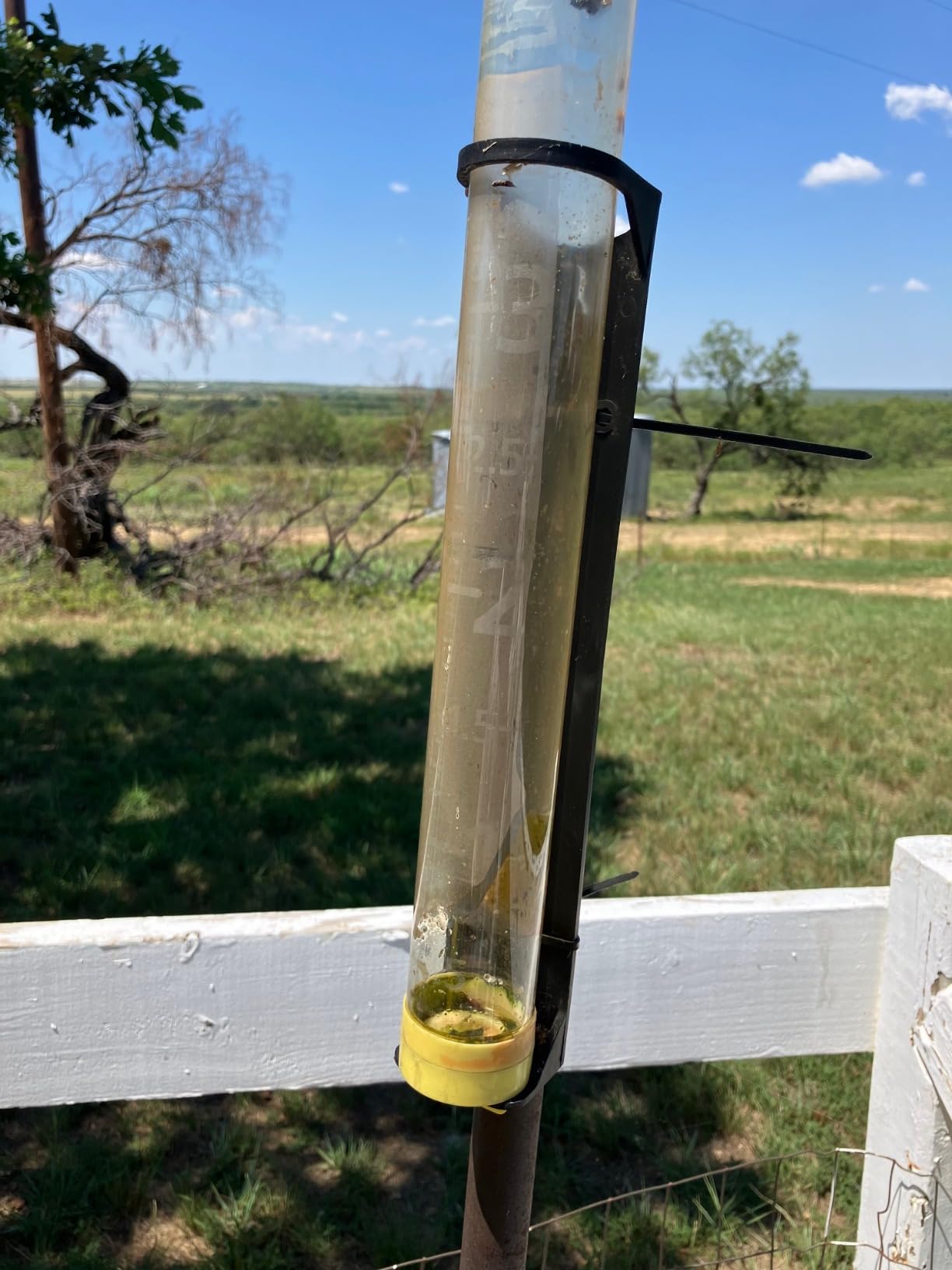 Taylor Jumbo JR Rain Gauge, Measure and Monitor Precipitation, Easy to Read for Backyard, Patio, Garden, and Lawn, 5-inch, Yellow customer photo 2