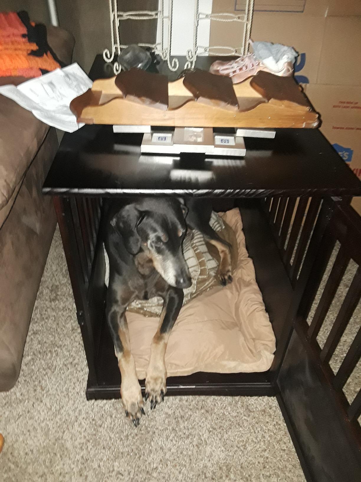 Casual Home Wooden Indoor Dog Crate House Kennel End Table Night Stand Furniture with Lockable Latch for Small to Medium Pets, Black customer photo 1