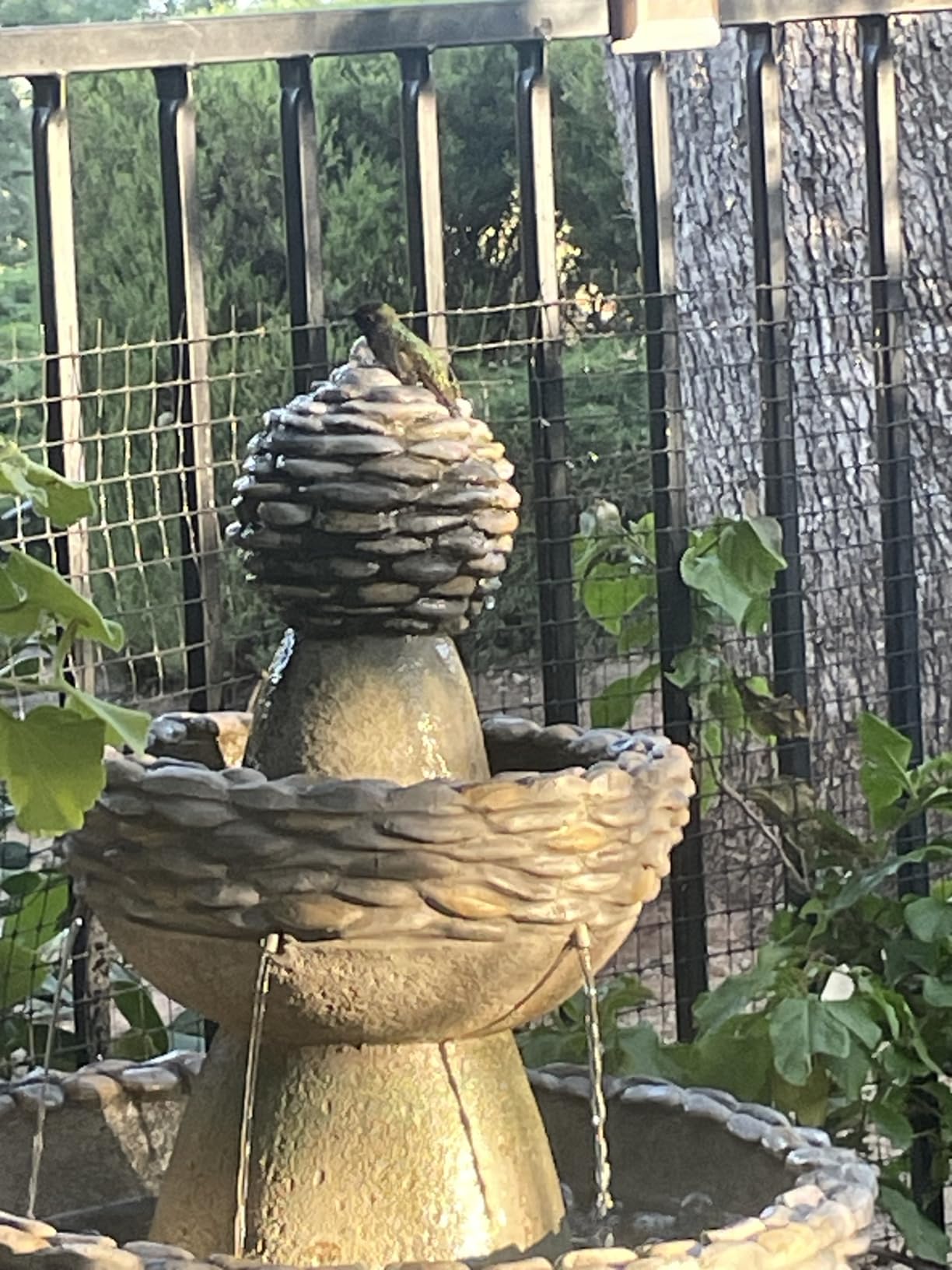 Teamson Home 36.5 in. Outdoor 3-Tier Zen-Style Pedestal Water Fountain in. with Stone Trim with Pump and 2.64 Gallon Capacity, Stone Gray customer photo 2