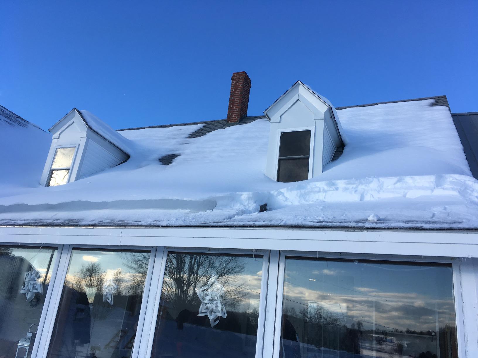 Snow Joe Telescoping Roof Rake, Extendable Leaf & Snow Shovel with Poly Blade, 25 Inch Wide, RJ204M customer photo 1