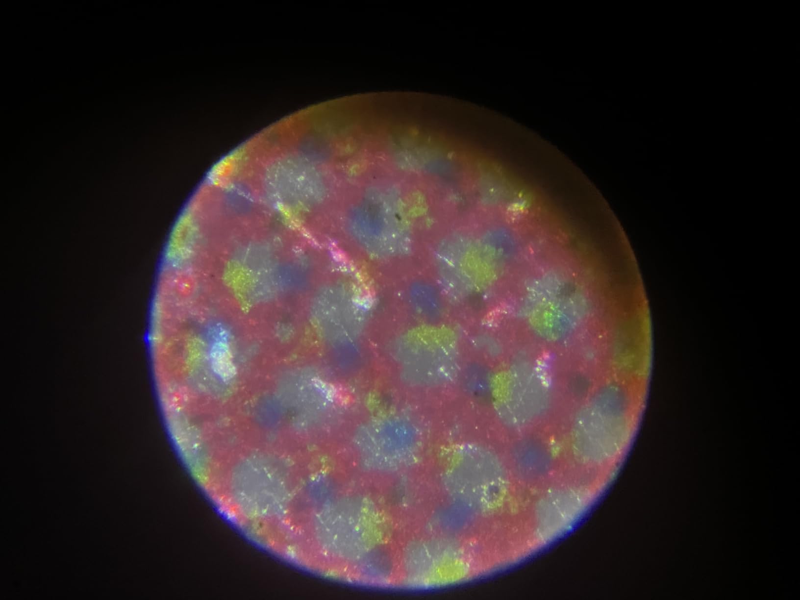 Carson MicroFlip 100x-250x, LED UV Pocket Microscope with Smartphone Clip, STEM Education (MP-250) customer photo 1