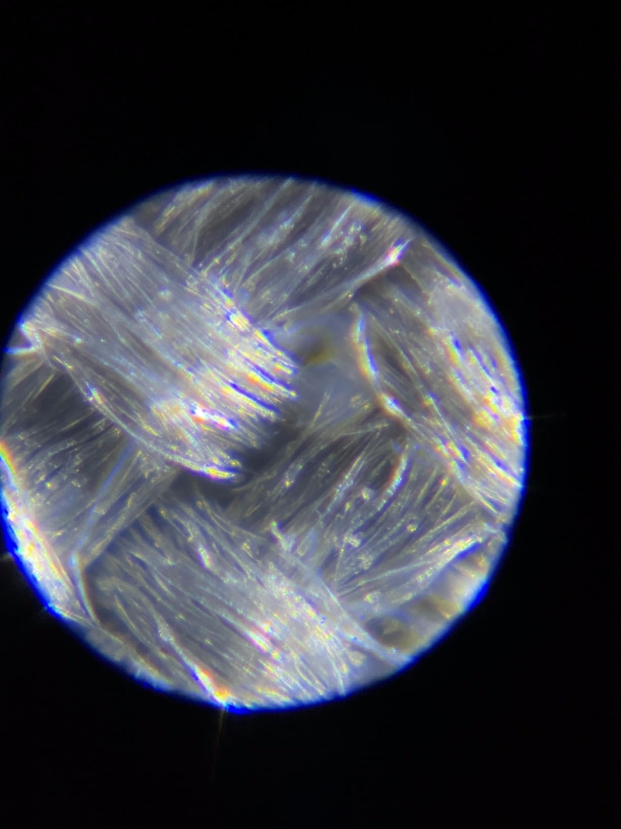 Carson MicroFlip 100x-250x, LED UV Pocket Microscope with Smartphone Clip, STEM Education (MP-250) customer photo 2