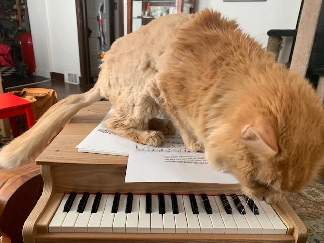KAWAI Grand Piano Natural customer photo 2