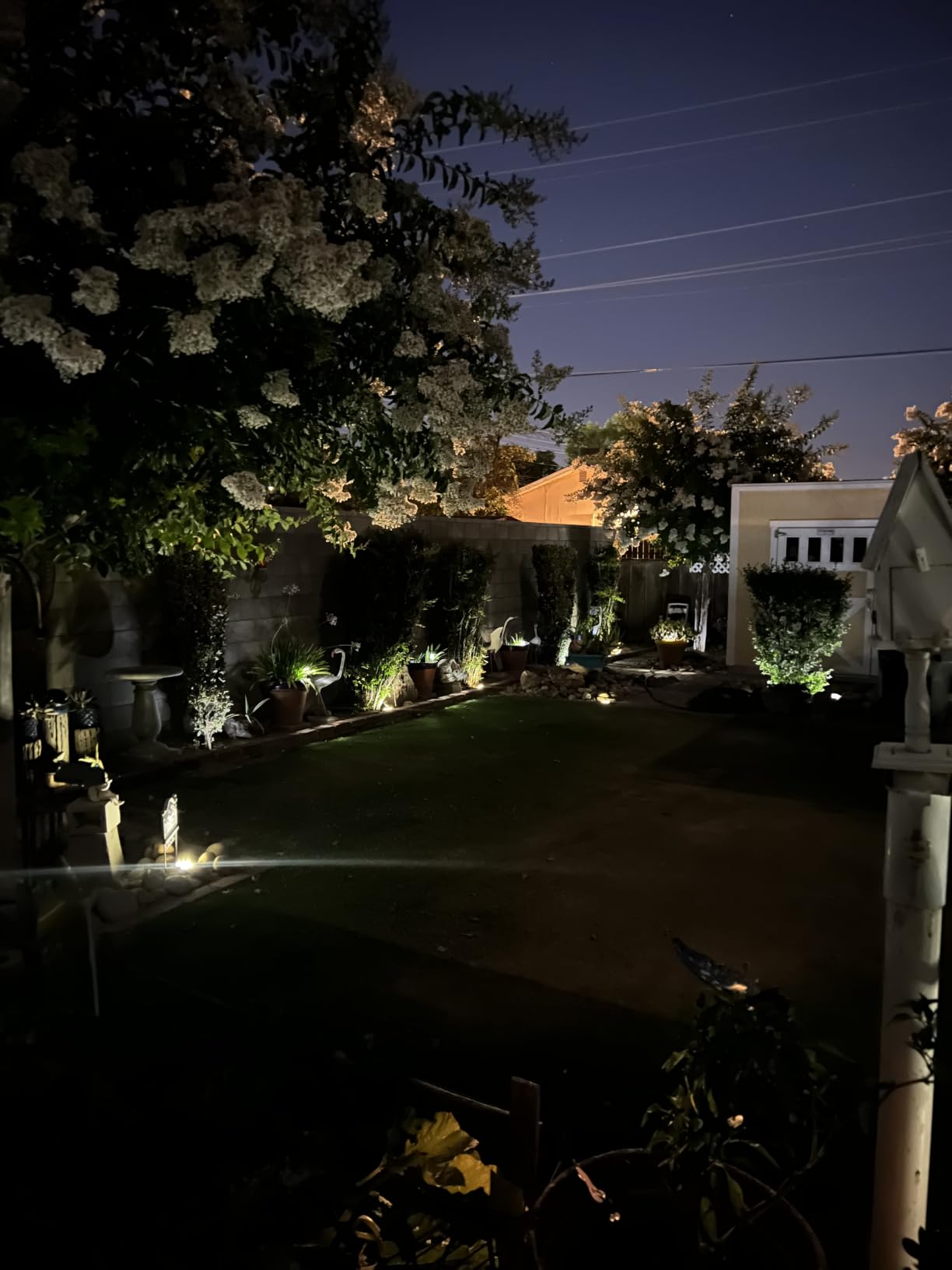 GIGALUMI Outdoor Waterproof Solar Garden Lights, 12 Pack Cold White customer photo 2