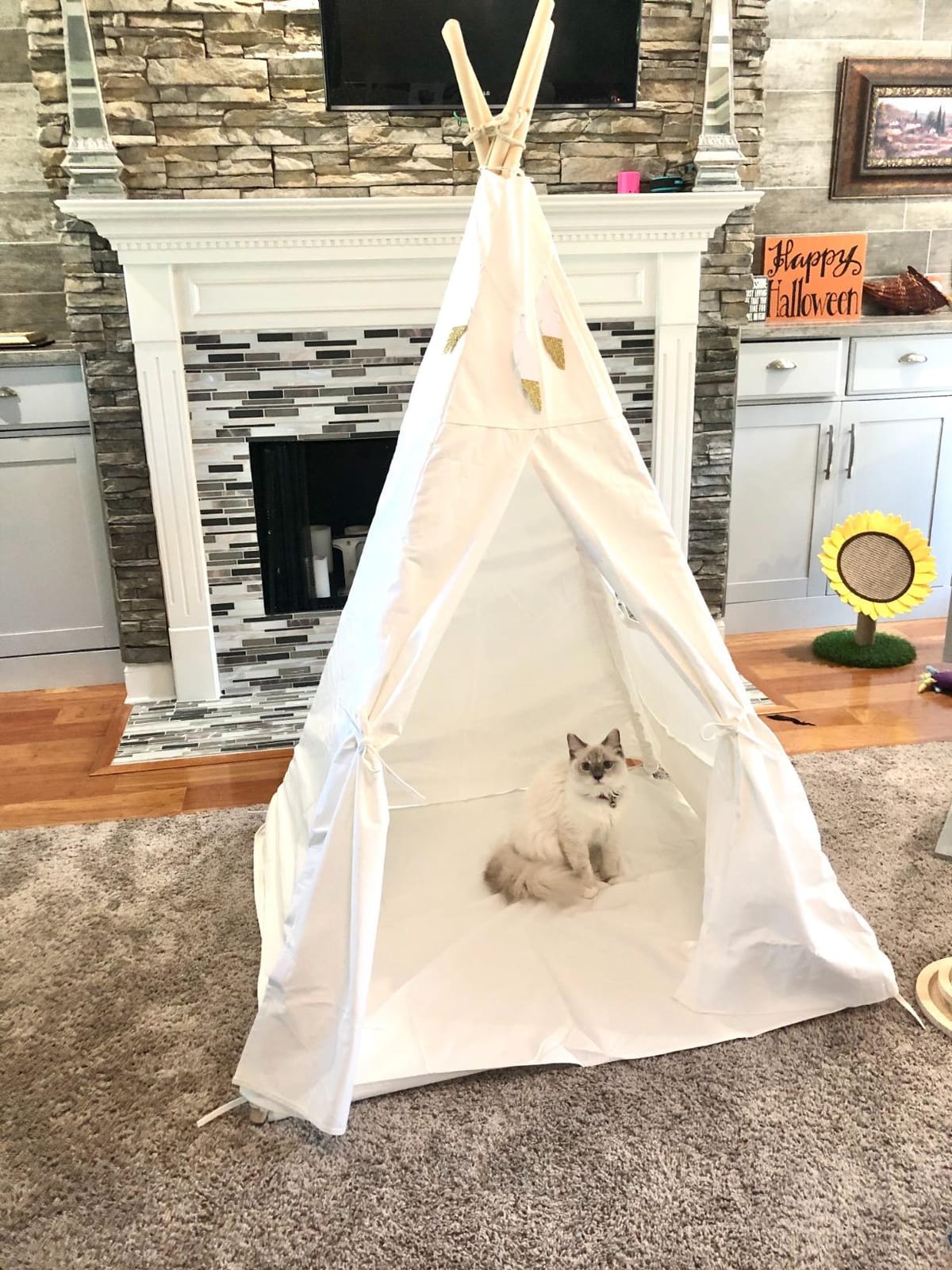 Little Dove Teepee Tent for Kids with Star Lights, Mat & Campfire Toy customer photo 2