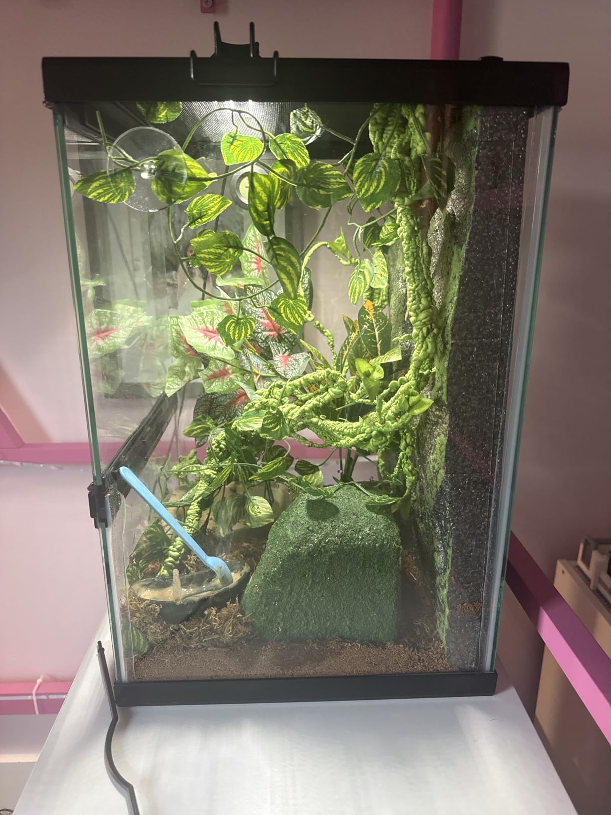 Zilla 11 Gallon Glass Tropical Vertical Terrarium Kit customer photo 2