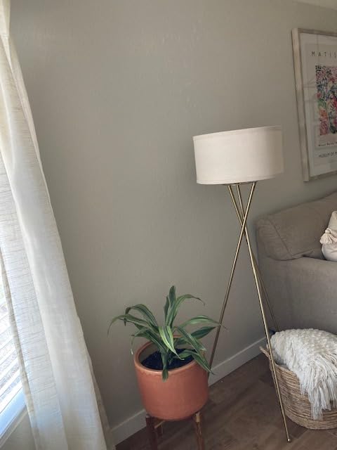Brightech Jaxon LED Floor lamp, Modern Lamp for Living Rooms & Offices, Tall Lamp with Contemporary Drum Shade, Gold Tripod Standing Lamp for Bedroom Reading, Great Living Room Decor - Brass customer photo 1
