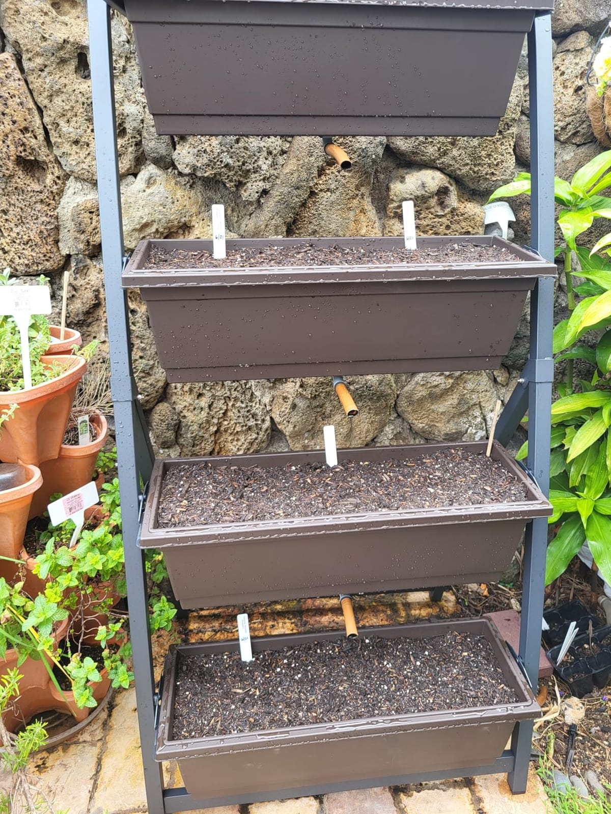 6-Ft Raised Garden Bed - Vertical Garden Freestanding Elevated Planter with 4 Container Boxes - Good for Patio or Balcony Indoor and Outdoor - Perfect to Grow Vegetables Herbs Flowers customer photo 2