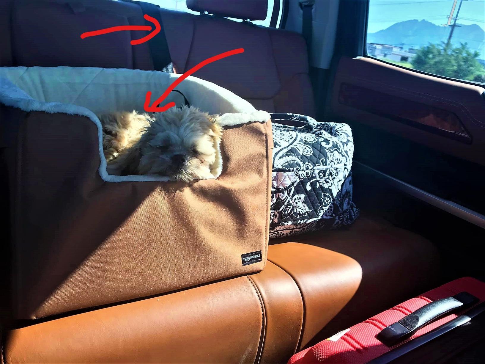 Amazon Basics Dog Car Seat Booster for Small Dogs up to 25lbs, Washable Removable Cover, Safety Leash, Elevated View for Window, 18