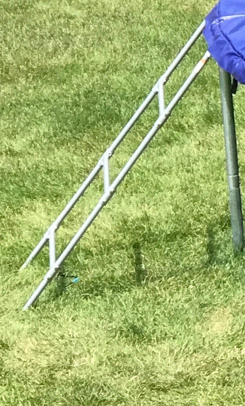 Trampoline Ladder Wide 3-Step, Heavy-Duty Design, No Slip Extra-Wide Steps in Black customer photo 2