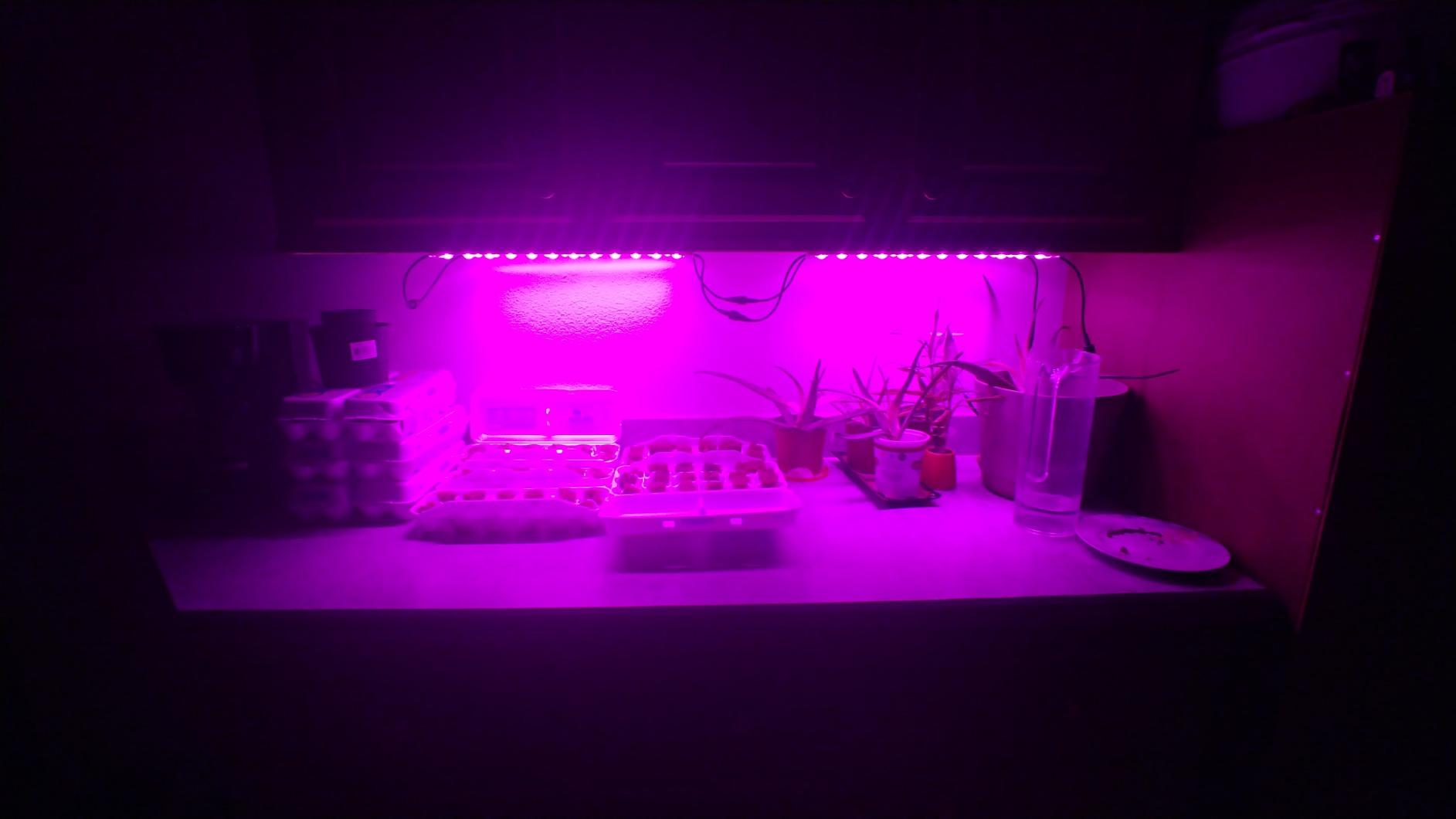 Litever Grow Light Strip Kit 36W with Timer, 4 pcs 16 Inches LED Grow Light Strips with Extension Cables, Mounting Accessories for Greenhouse, Grow Shelf. Perfect for Indoor Growing-(4-Strip-Kit) customer photo 2