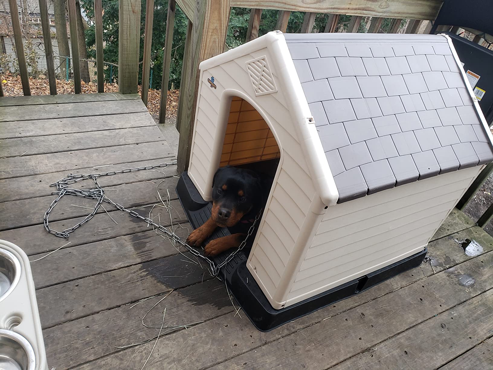 Confidence Pet Large Waterproof Plastic Dog Kennel Outdoor House Green customer photo 1