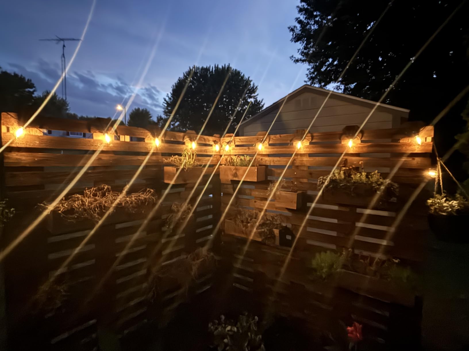 Brightech Ambience Pro Solar Powered Outdoor String Lights -27 ft Commercial Grade Waterproof Edison Patio Lights, Shatterproof LED String Lights for Outside, Porch - 12 Bulbs, 1W Soft White customer photo 2