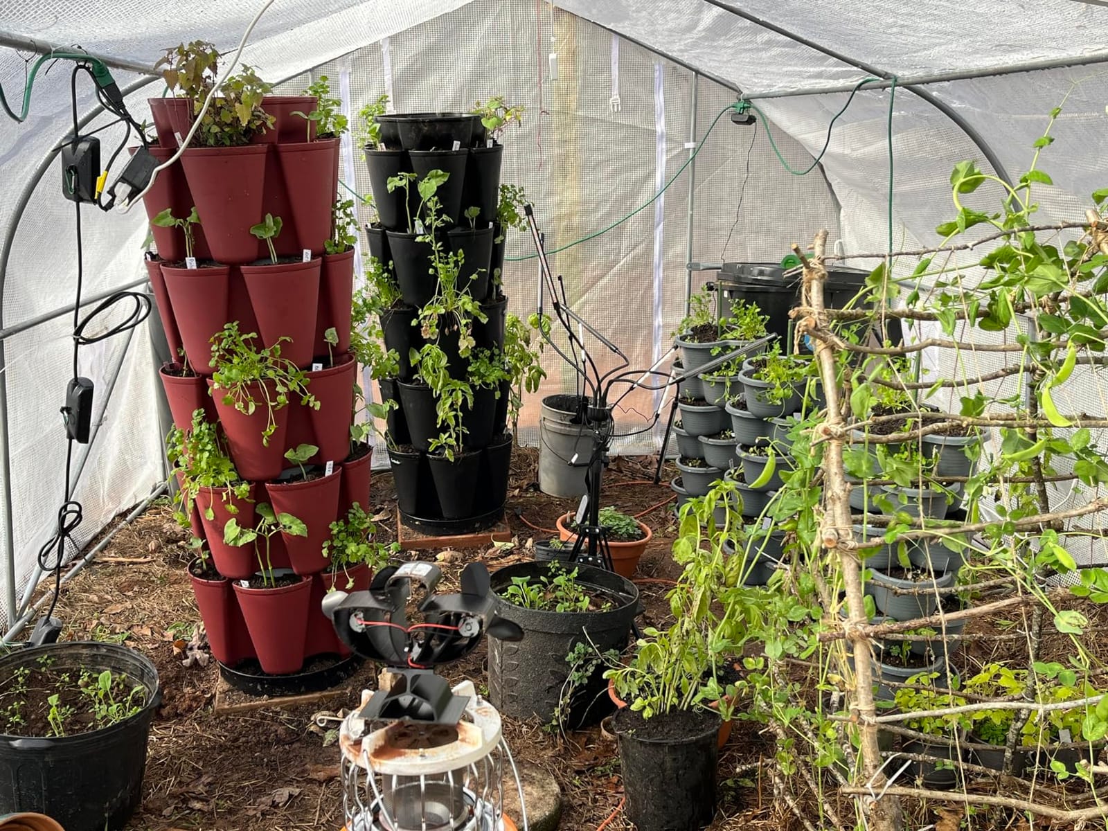 Greenstalk Patented Large 5 Tier Vertical Garden Planter with Patented Internal Watering System Great for Growing a Variety of Strawberries, Vegetables, Herbs, & Flowers (Stunning Stone) customer photo 1