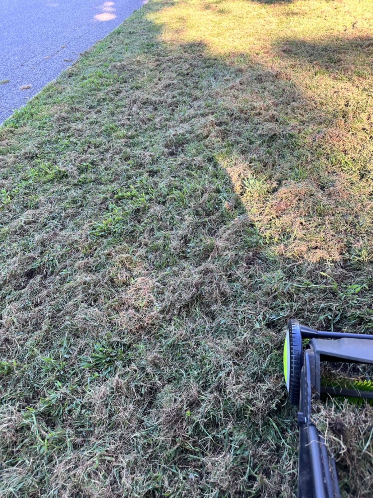 Earthwise LSW70021 21-Inch Width Leaf & Grass Push Lawn Sweeper, Black customer photo 1