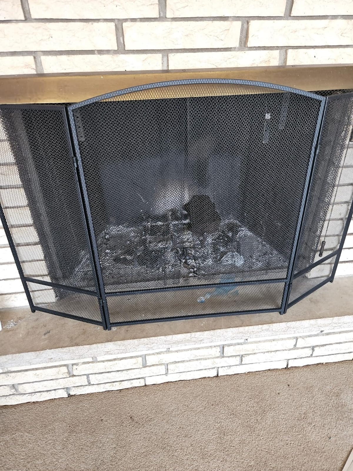 Best Choice Products 47.5x27.25in 3-Panel Simple Steel Mesh Fireplace Screen, Fire Spark Guard Grate for Living Room Home Decor w/Rustic Worn Finish - Black customer photo 2