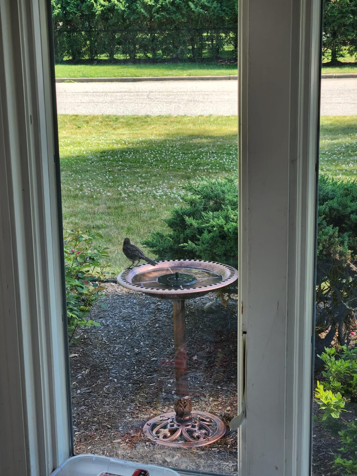 Best Choice Products Bird Bath, 28in Outdoor Resin Pedestal - Copper customer photo 2