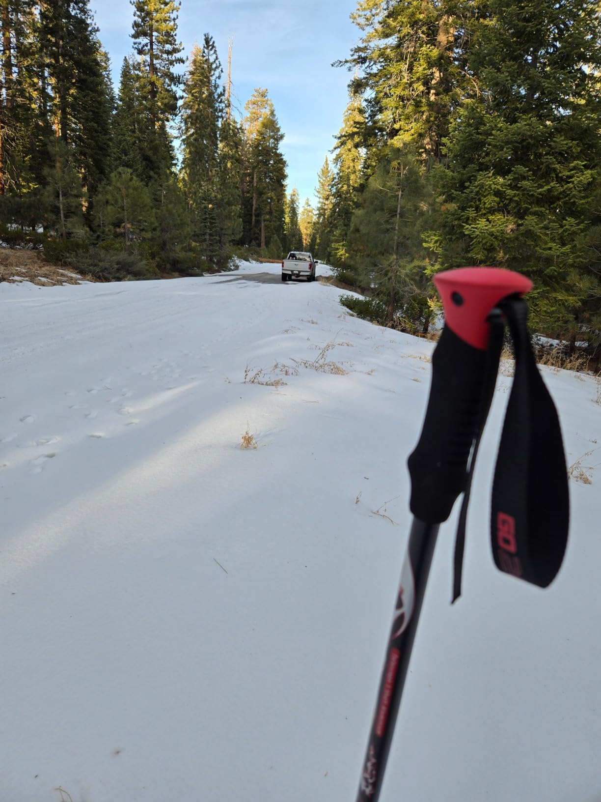 G2 21/25/30/36 Inches Light Weight Snowshoes with Trekking Poles, Tote Bag, Special EVA Padded Ratchet Binding, Heel Lift, Toe Box(6 Colors Available) customer photo 1