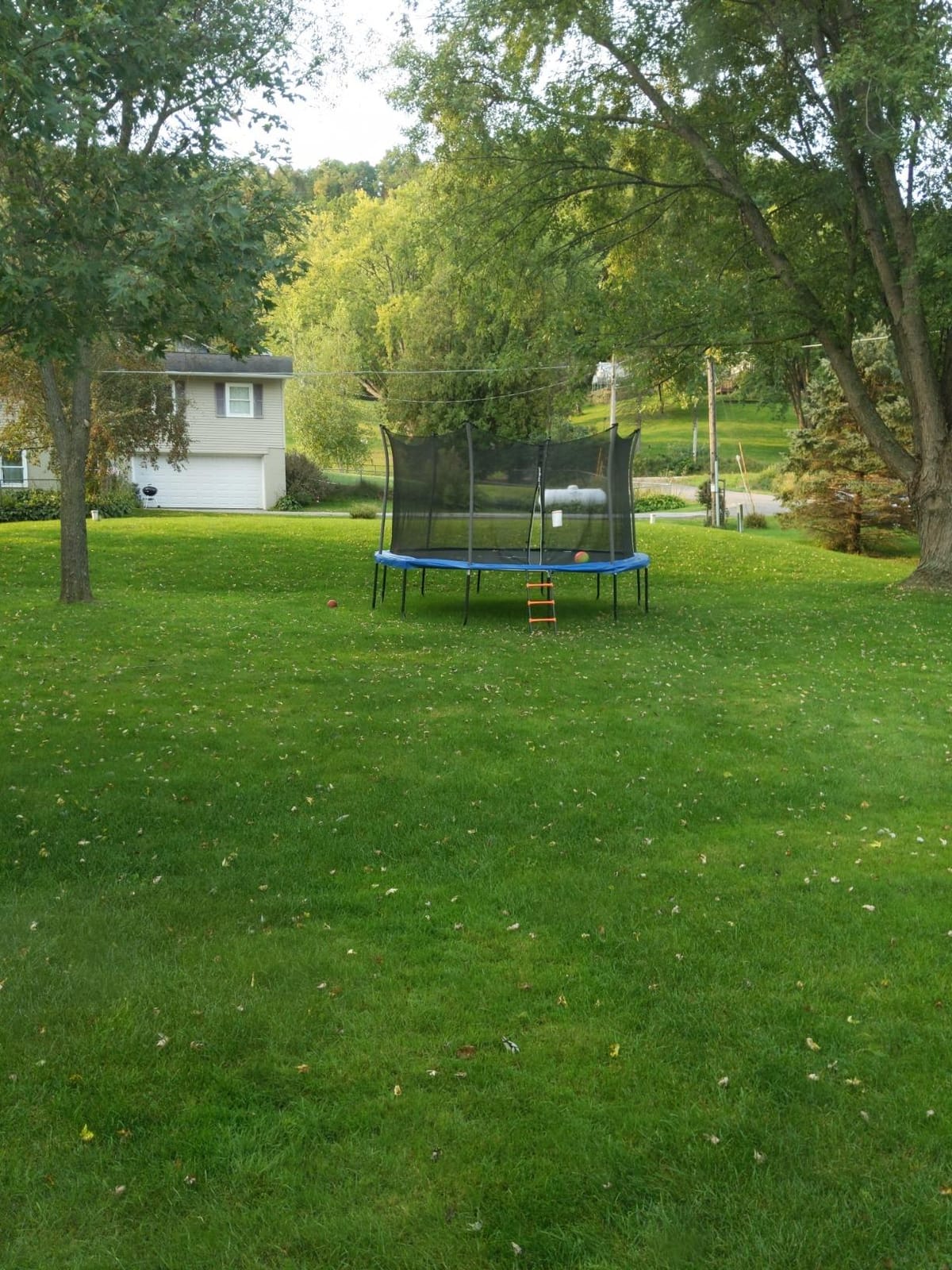 N1Fit Trampoline Ladder - Universal 3-Step Trampoline Steps Supporting up to 220 lbs - Powder Coated & UV Treated Trampoline Stairs Accessories for Kids All Weather Exposure - Sturdy & Safe Design customer photo 2