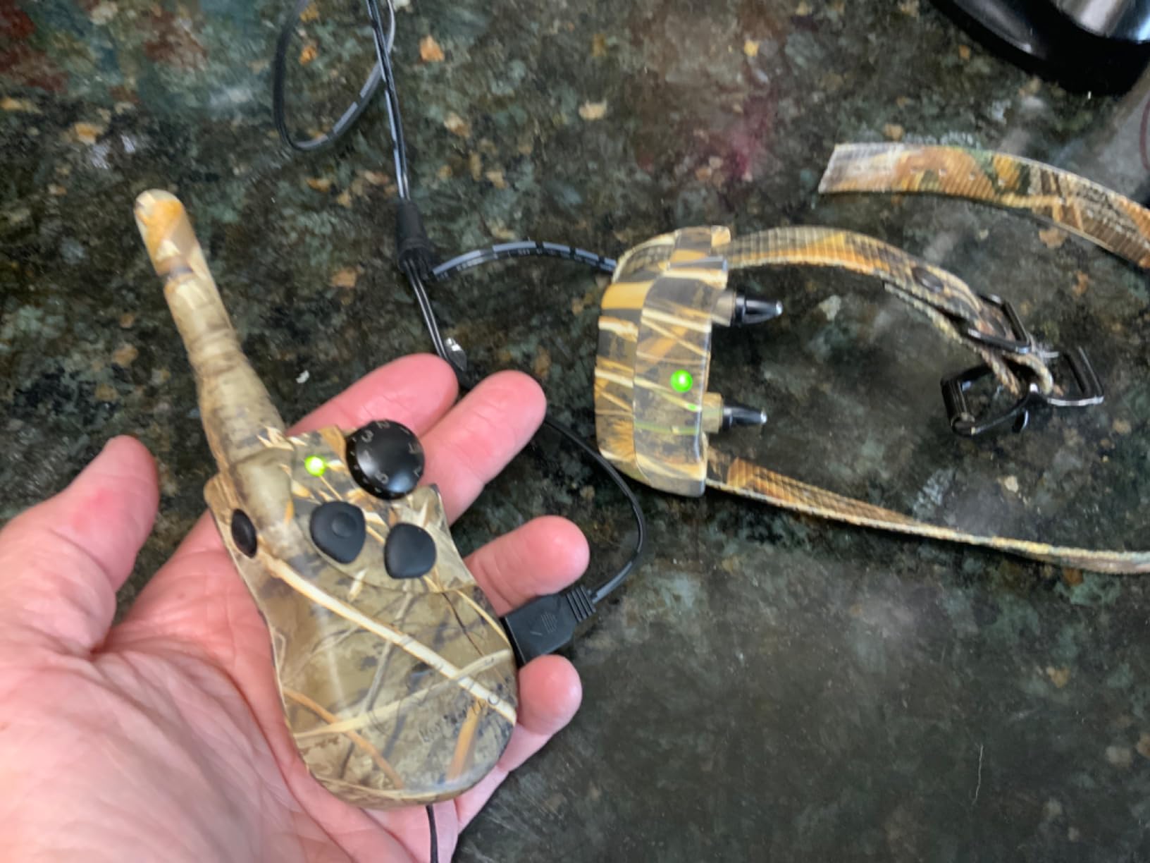 SportDOG FieldTrainer 425X Remote Trainer, 500-Yard Range, Waterproof customer photo 2