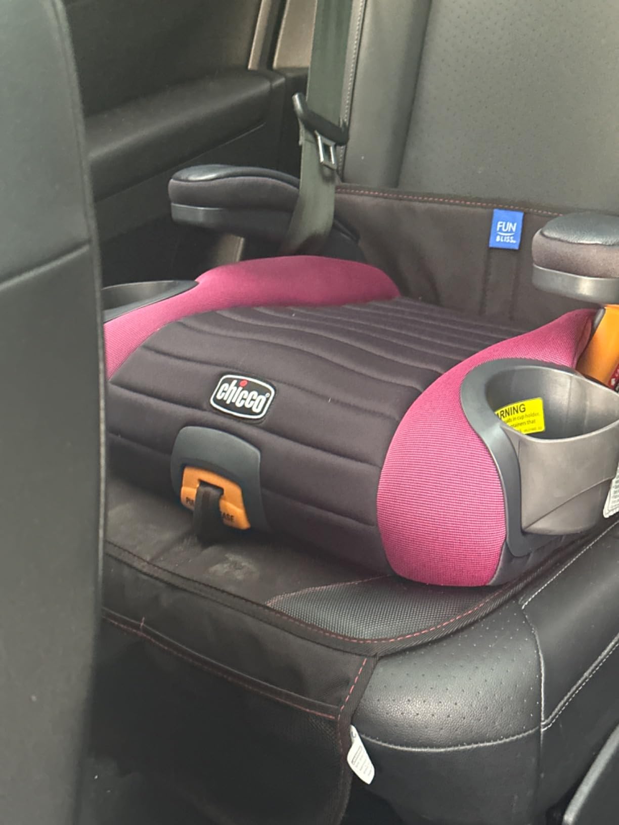 funbliss Car Seat Protector for Child Car Seat customer photo 2