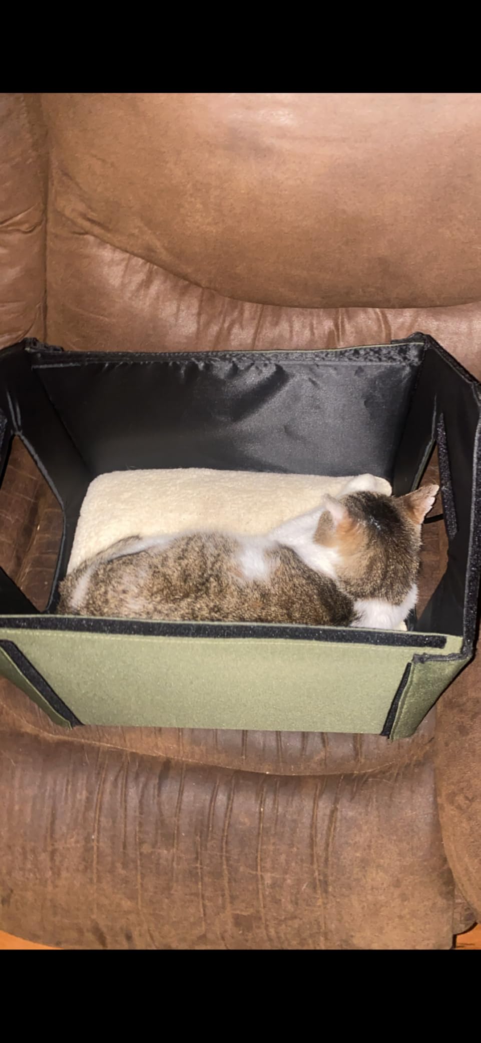 K&H Heated Cat House, Outdoor Kitty Shelter, Safety Listed, 20W, Olive customer photo 2