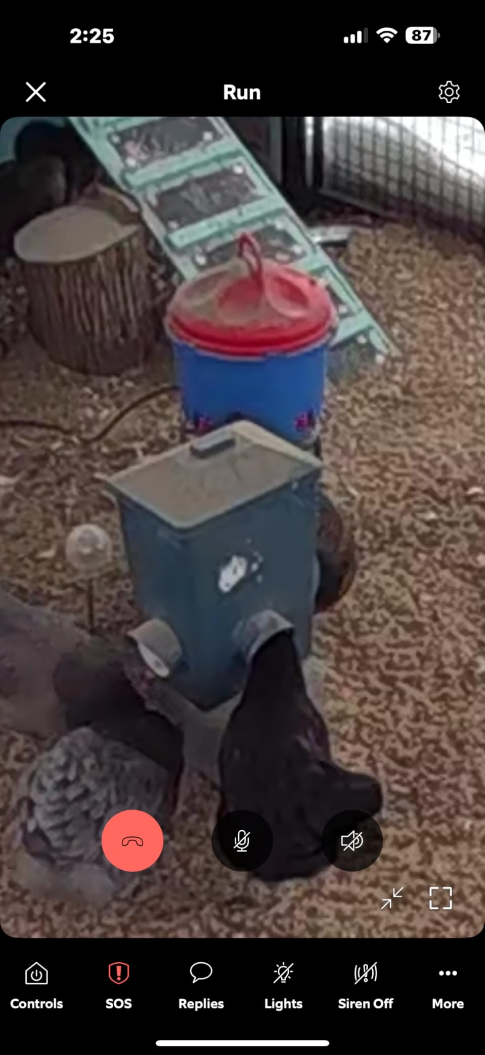 Premier 1 All-Season Heated Poultry Waterer for Chickens & Ducks – 3 Gallon customer photo 2