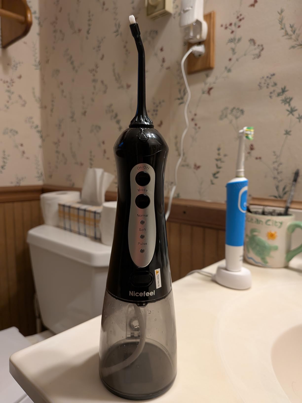 Nicefeel Water Flosser, 300ML Portable Water Dental Pick Cordless for Teeth, Braces, Sensitive Gum, Oral Irrigator for Travel & Home with 5 Jet Tips & 3 Modes, Rechargeable, IPX7 Waterproof customer photo 2