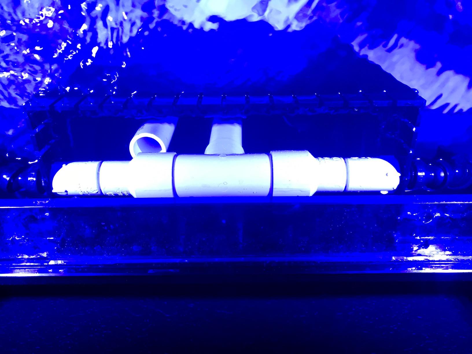 Empire USA Starfire Glass Aquarium 60x24x24 Inch 150 Gallon | Large 150-gallon aquarium, 60x24x24-inch, made with high-clarity Starfire glass for a crystal-clear viewing experience. customer photo 1