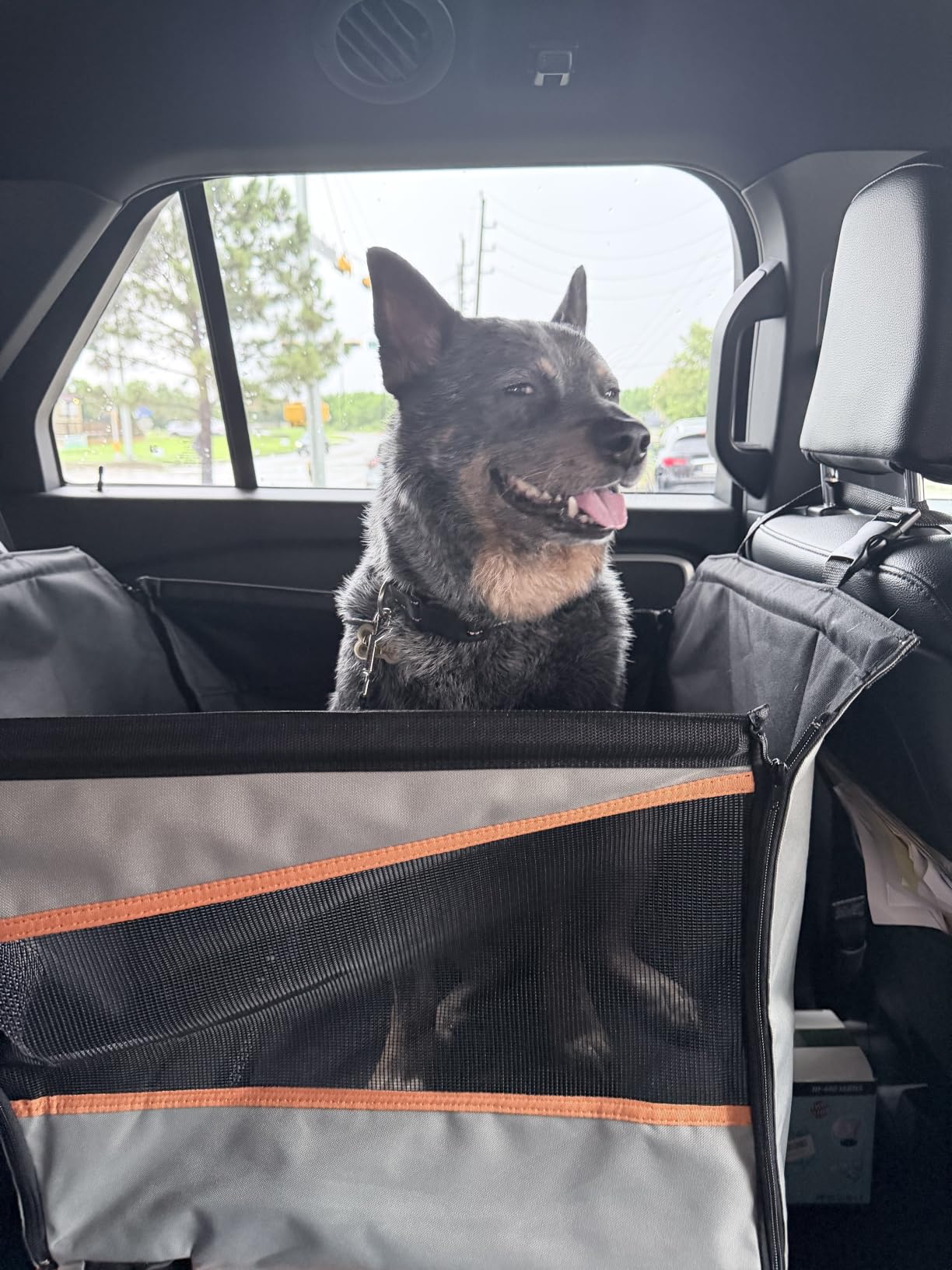 K&H Buckle N Go Dog Car Seat for Medium to Large Pets, 21 X 19 X 19in customer photo 2