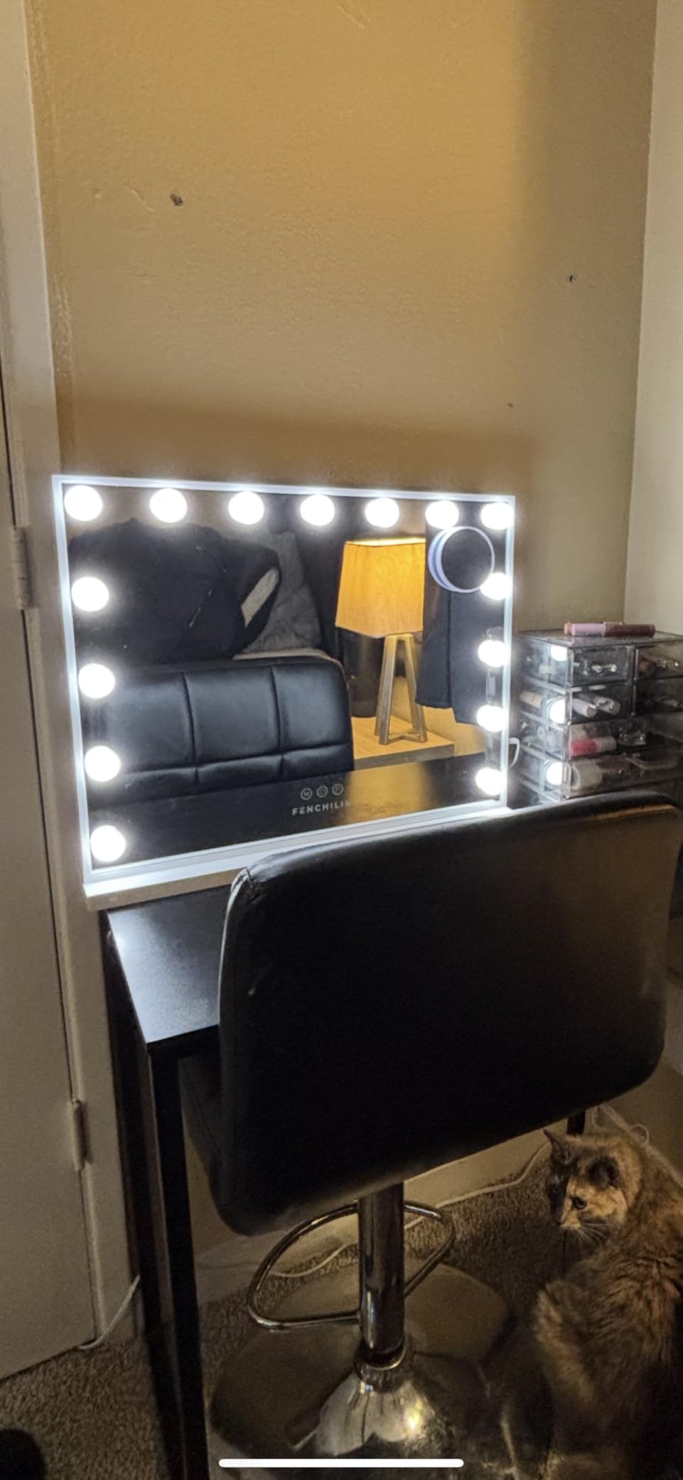 FENCHILIN Vanity Mirror with Lights, Hollywood Lighted Makeup Mirror with 15 Dimmable LED Bulbs for Dressing Room & Bedroom, Slim Metal Frame Design, Tabletop White customer photo 1