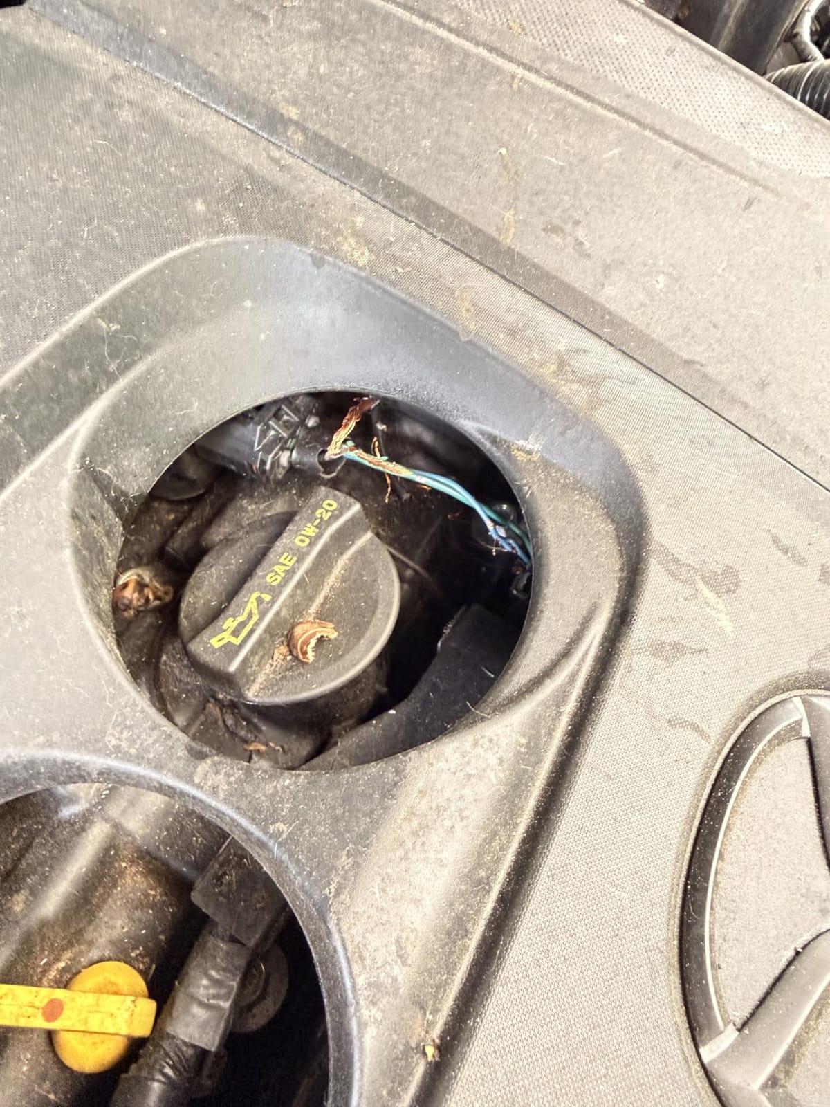 Battery Operated Ultrasonic Under Hood Rodent Repellent for Car Engines customer photo 2