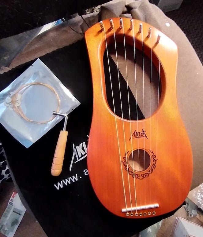 Lyre Harp, AKLOT 16 Metal Strings Mahogany Lye Harp with Tuning Wrench,Spare String Set,Pickup,Black Gig Bag customer photo 1