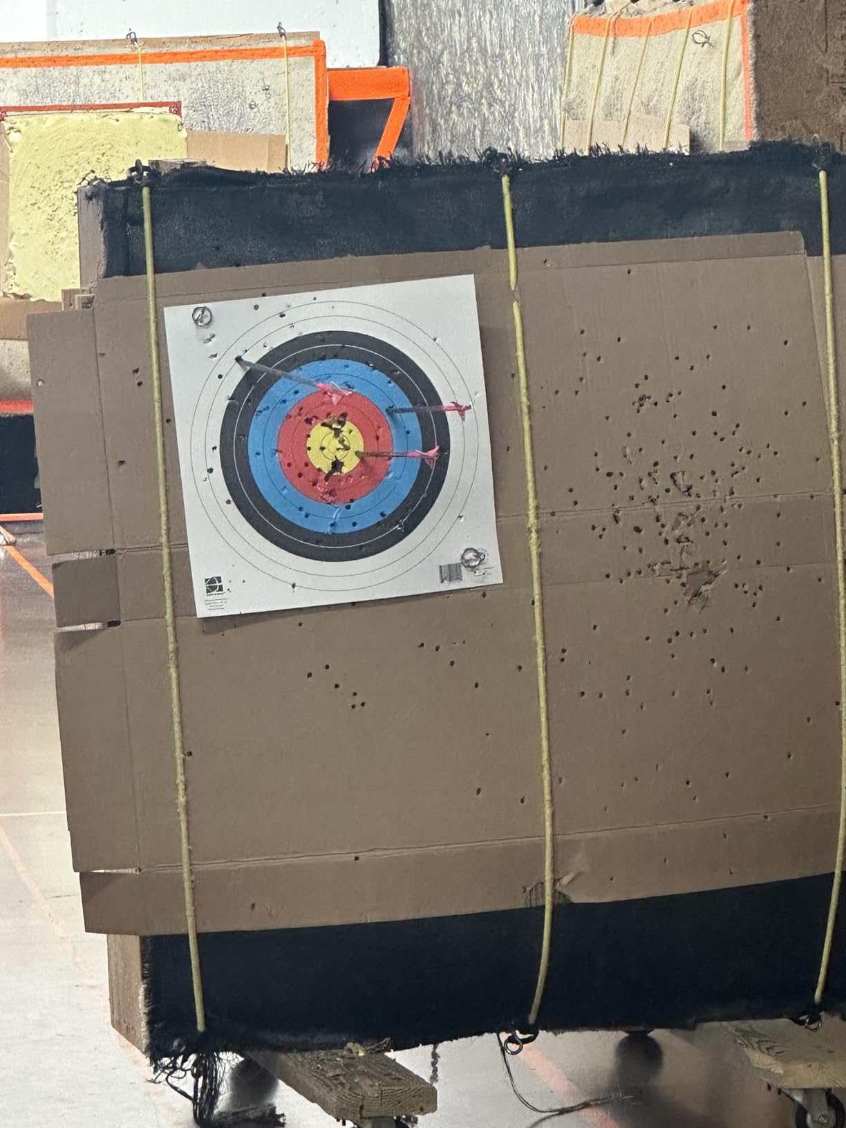 Bear Archery Royale Ready to Hunt Compound Bow Archery Set with Archery Accessories for Adults and Youths, 12”- 27” Draw Length, 5-50 Lbs Draw Weight, Up to 290 FPS customer photo 2