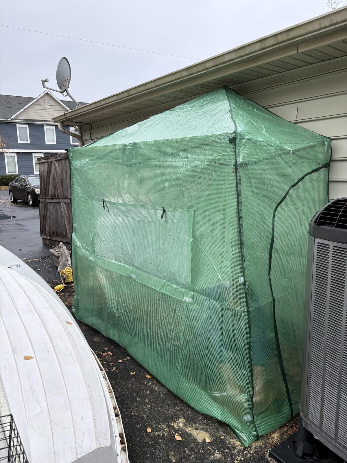 EAGLE PEAK 8x6 Easy Setup Pop Up Greenhouse, Clear/Green customer photo 2